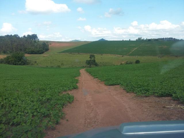 Fazenda Café Sul de Minas - Foto 2