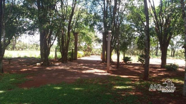 Chácara com 3 dormitórios à venda, 10.000 m² por R$ 1.100.000 - Área Urbanizada II no Anel - Foto 11