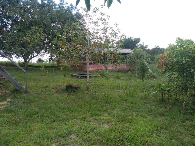 Vendo uma Chácara 14 hectares na BR 364 - Foto 2