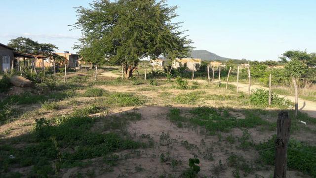 Vendo um lote - Foto 3