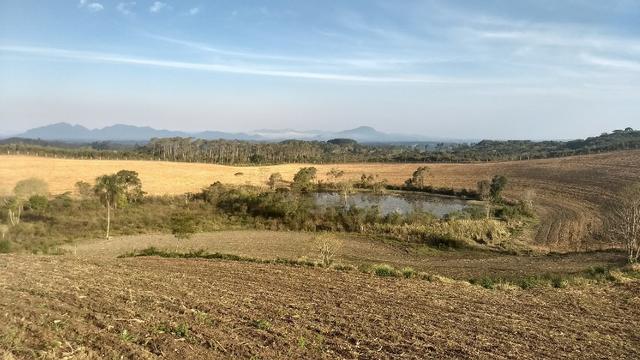 Área para soja próxima de Curitiba - Foto 10