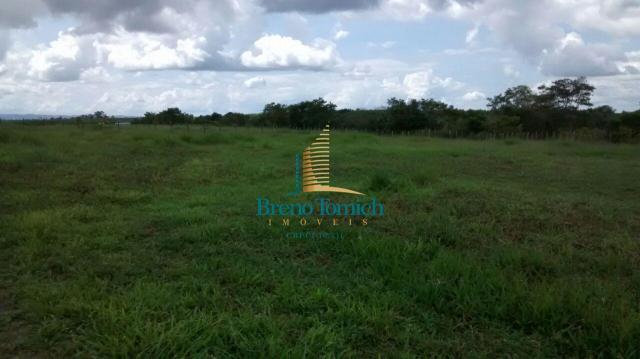 Fazenda à venda, 890000 m² por r$ 1.300.000 - teixeira do progresso - mascote/ba - Foto 15