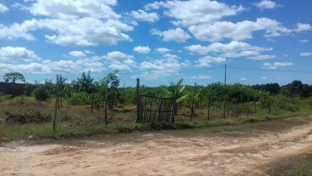 Terreno em Cocal - Foto 2