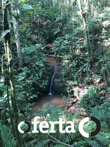 Chácara à venda em Serrinha, Contenda cod:549 - Foto 9