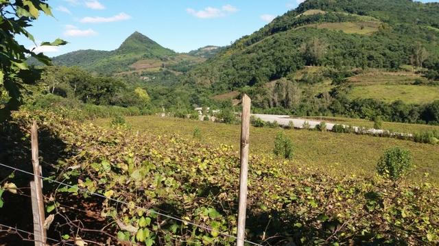 Area de terras 2,5 hectares Vale Aurora-BG - Foto 4