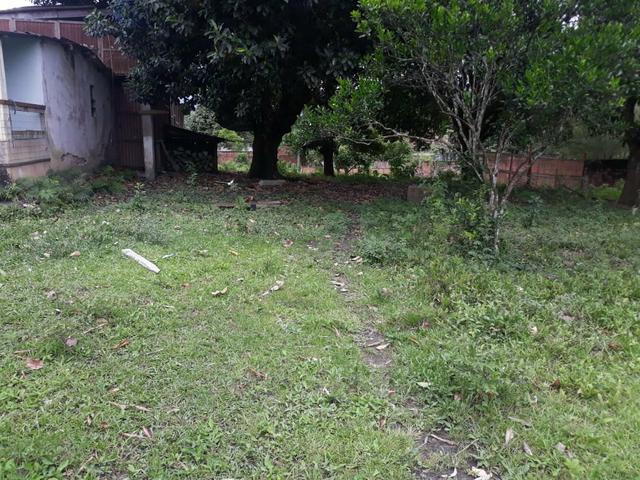 Excelente área com galpão em Guapimirim - Citrolândia oportunidade!!! - Foto 13