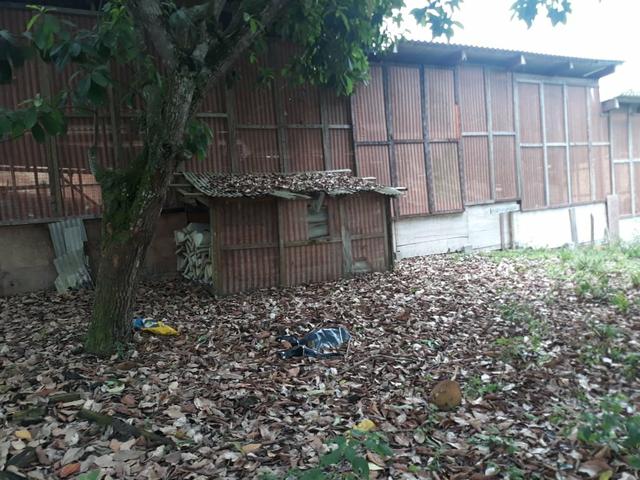 Excelente área com galpão em Guapimirim - Citrolândia oportunidade!!! - Foto 16