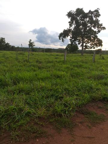 Fazenda 500 Alqueiro Aberto - Foto 2