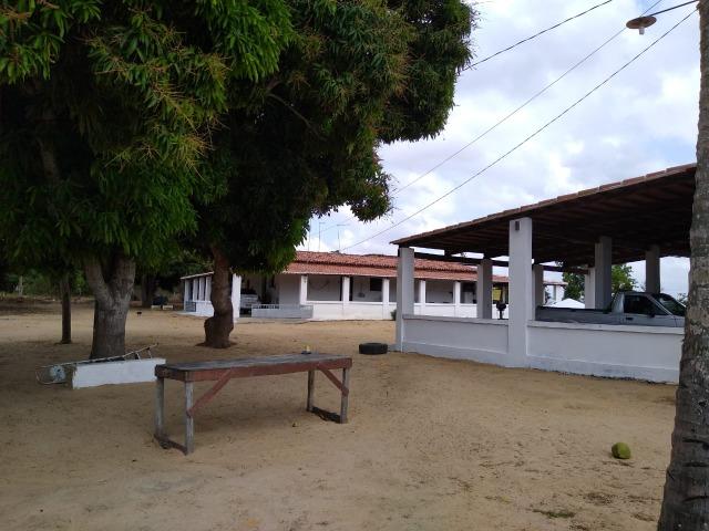 Granja com 4 há em bom jesus com 3 casas e outra em construção, piscina, galpão - Foto 11