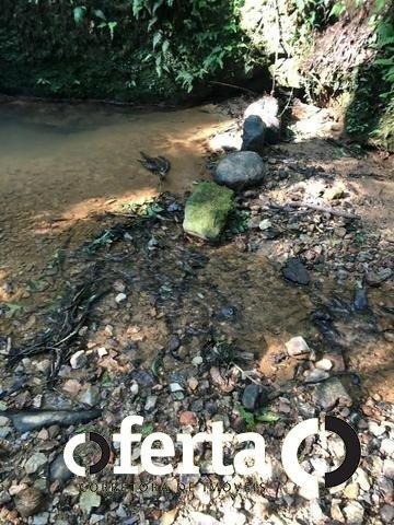 Chácara à venda em Serrinha, Contenda cod:549 - Foto 4