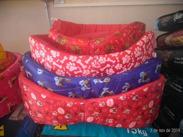 Caminha para Cães