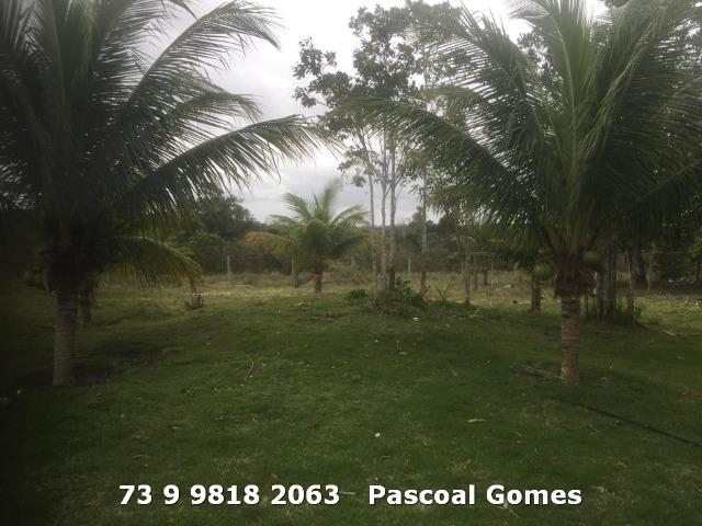 Sitio 3000m2 - Foto 3