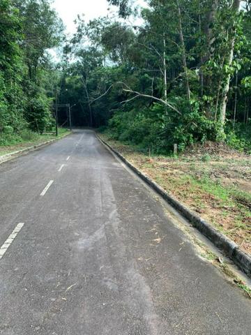 Presidente Figueiredo, lote no Cd. Bosque das aguas terreno 20x60, com registro - Foto 9