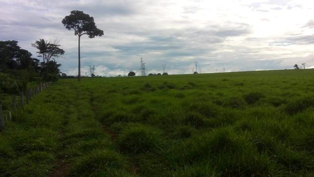 Fazenda 500 Alqueiro Aberto - Foto 5