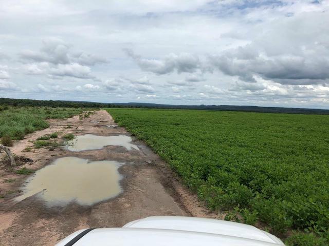 Fazenda em Balsas