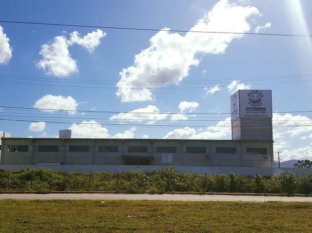 Operadora Sistema CAD Audaces Modelagem