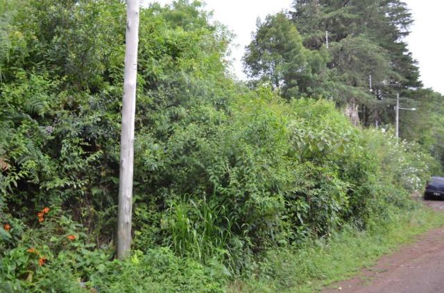 Terreno à venda, 888 m² por r$ 170.000,00 - vale dos pinheiros - gramado/rs