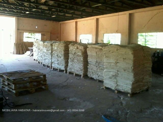 Fazenda de 120 alqueires em Inacio Martins/PR - Foto 6