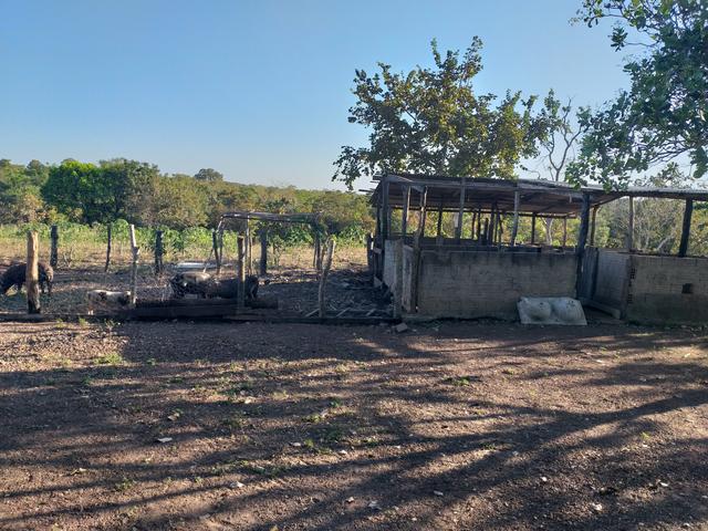 Sitio em livramento - Foto 3