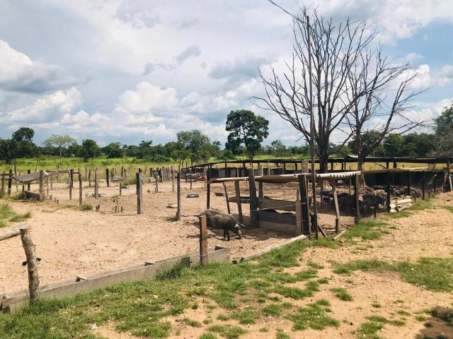 Chácara em Santo Antônio do leverger 17 hectares - Foto 15