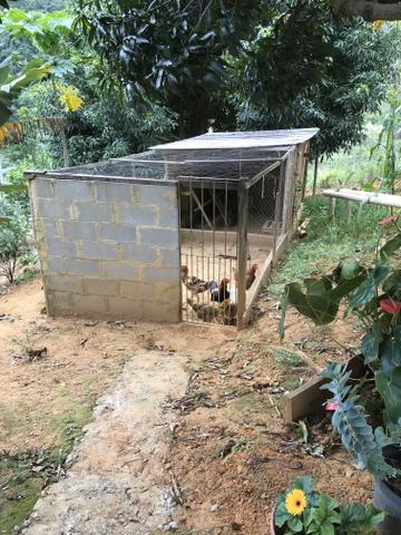 Linda Chácara 3700m2 Casa mobiliada 3 quartos em Domingos Martins - Foto 17