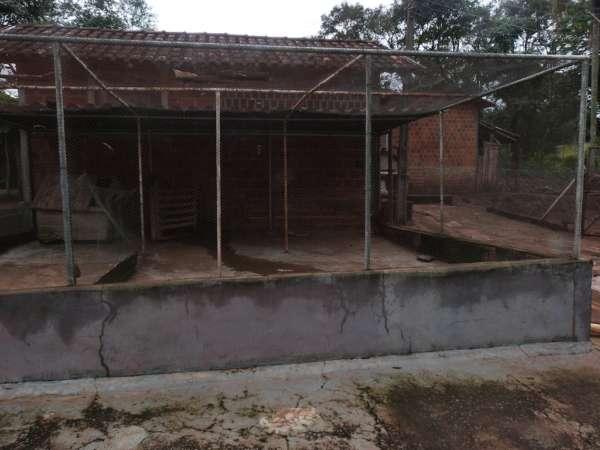 Rural sitio - Bairro Zona Rural em Jataizinho - Foto 9