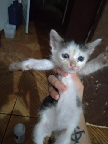 Doação