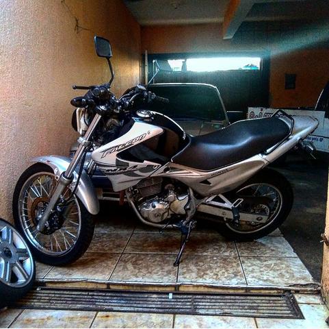 Falcon