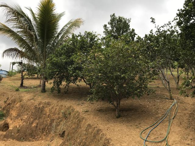 Linda Chácara 3700m2 Casa mobiliada 3 quartos em Domingos Martins - Foto 18