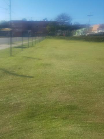 Corte de grama e limpeza de terreno - Foto 3