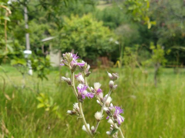 Chalé de campo - Foto 14