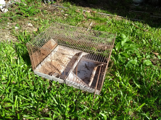 Gaiola grande - Foto 2