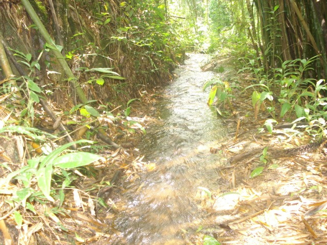 Sítio em Liberdade MG - Foto 2