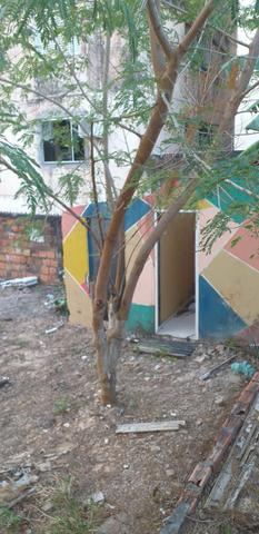 Terreno no Maranhão novo