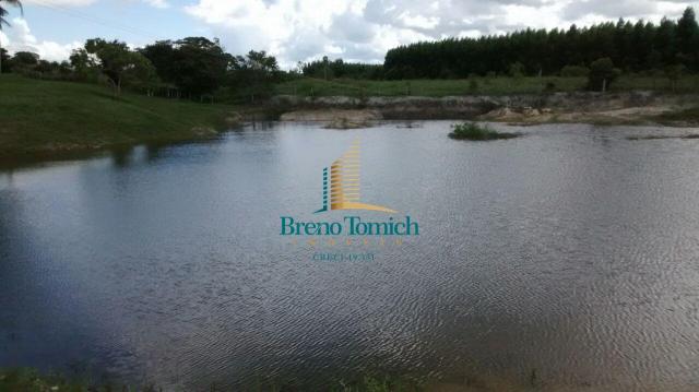 Fazenda à venda, 890000 m² por r$ 1.300.000 - teixeira do progresso - mascote/ba - Foto 7
