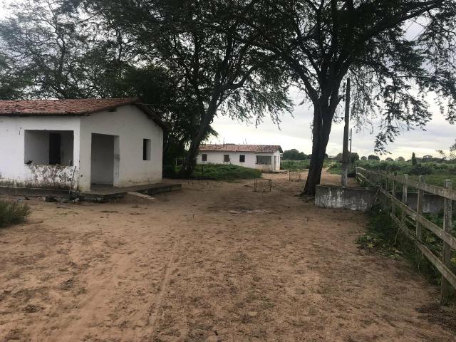 Fazenda com 480 hectares em Bom Jesus-RN - Foto 17
