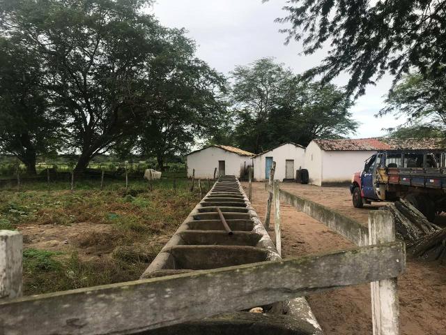 Fazenda com 480 hectares em Bom Jesus-RN - Foto 19