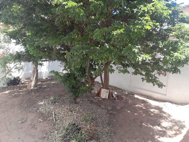 Ótima casa,3/4 Sem suite, Quintal Amplo - Nova Parnamirim Próximo A caixa - Foto 2