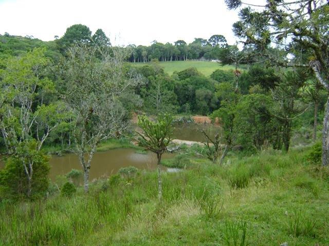 Residencial Piraquara - Chácara - Foto 16