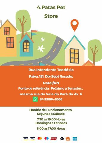 Caminha para Cães - Foto 4