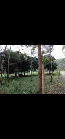 Terreno - Foto 3
