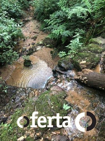 Chácara à venda em Serrinha, Contenda cod:549 - Foto 10