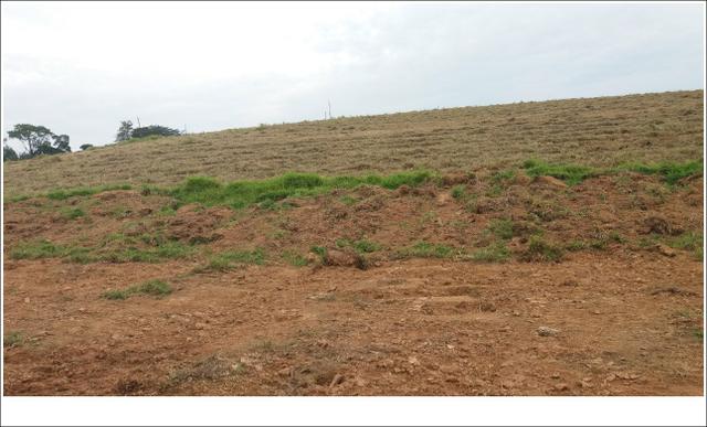 Terrenos a Venda próximo a cidade de São Roque -SP - Foto 5