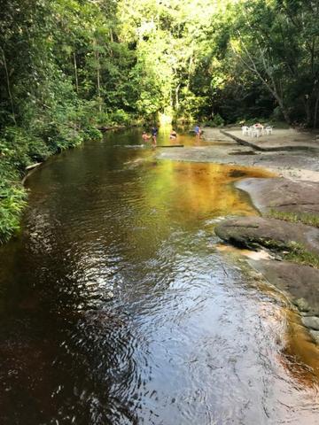 Presidente Figueiredo, lote no Cd. Bosque das aguas terreno 20x60, com registro - Foto 14