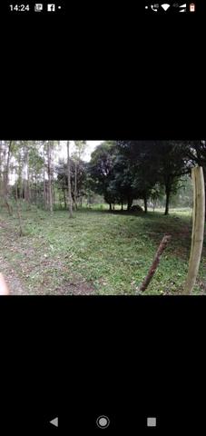 Terreno - Foto 5