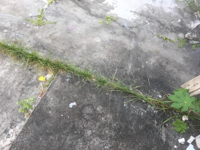Vendo ou alugo terreno de 600m² em Dias D'ávila escriturado - Foto 4