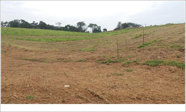 Terrenos a Venda próximo a cidade de São Roque -SP - Foto 4