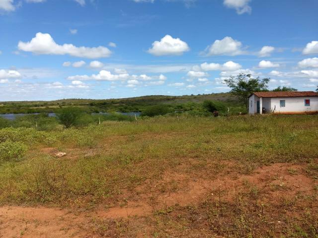 Fazenda em São Paulo do Potengi cortada pelo rio Potengi - Foto 10