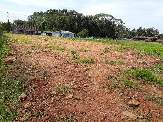 Terreno Lindo e Barato para Montar sua Chácara, Aceito Carro - Foto 6