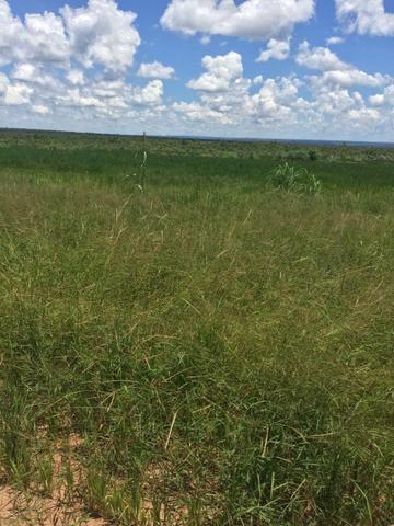 Fazenda 230 alqueires | região Rio do Sono | Ac. permutas